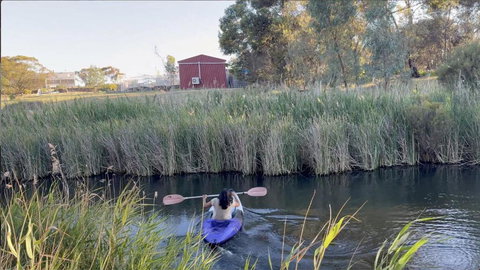 Woody House - Food Delivery Shop 1