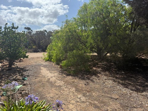 Woody House - Food Delivery Shop 2