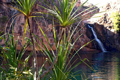 3-Day Kakadu 4WD Camping Safari From Darwin - Food Delivery Shop 2
