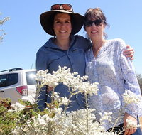Spring Wildflower Private Day Tours - Food Delivery Shop