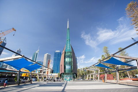 Perth Scavenger Hunt: Perched On A Swan - Pet Food Australia 3