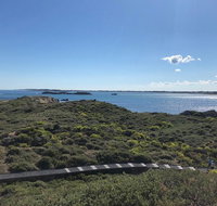 Penguin Island And Fremantle - Canoe Chocolate  Coffee - Food Delivery Shop