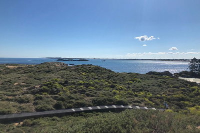 Penguin Island And Fremantle - Canoe Chocolate  Coffee