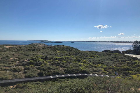 Penguin Island And Fremantle - Canoe, Chocolate & Coffee - Food Delivery Shop 0