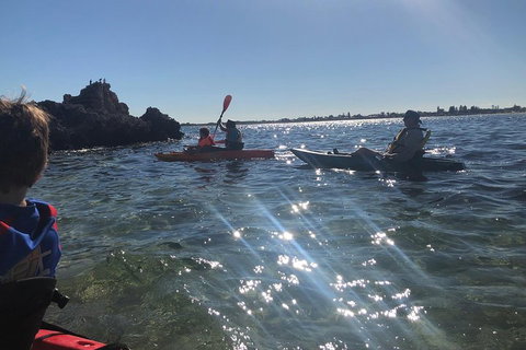 Penguin Island And Fremantle - Canoe, Chocolate & Coffee - Food Delivery Shop 1