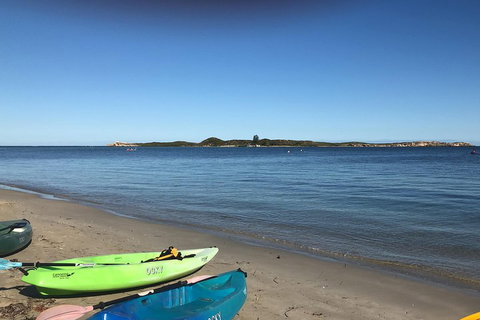 Penguin Island And Fremantle - Canoe, Chocolate & Coffee - Food Delivery Shop 2