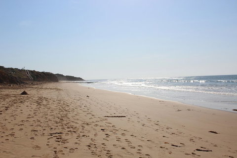 Learn To Surf At The Great Ocean Road - Food Delivery Shop 1