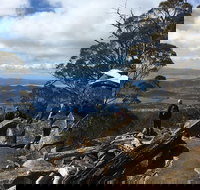 kunanyi / Mt Wellington Explorer Bus - 2 Hour Return Tour - Pet Food Australia