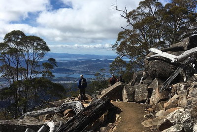 kunanyi / Mt Wellington Explorer Bus - 2 Hour Return Tour