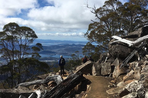 Kunanyi / Mt Wellington Explorer Bus - 2 Hour Return Tour - Food Delivery Shop 0