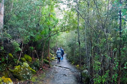 Kunanyi / Mt Wellington Explorer Bus - 2 Hour Return Tour - Food Delivery Shop 2