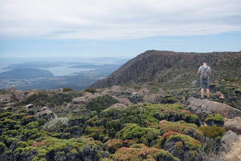 Kunanyi / Mt Wellington Explorer Bus - 2 Hour Return Tour - Food Delivery Shop 3