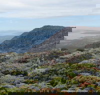 kunanyi/Mt Wellington Explorer Bus - One Way Tour - Pet Food Australia