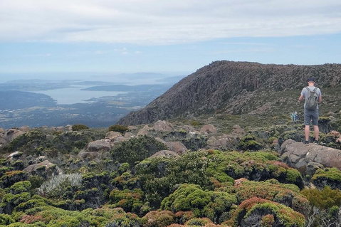 Kunanyi/Mt Wellington Explorer Bus - One Way Tour - Food Delivery Shop 0