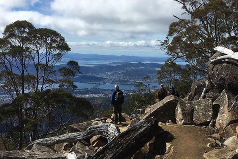 Kunanyi/Mt Wellington Explorer Bus - One Way Tour - Food Delivery Shop 2