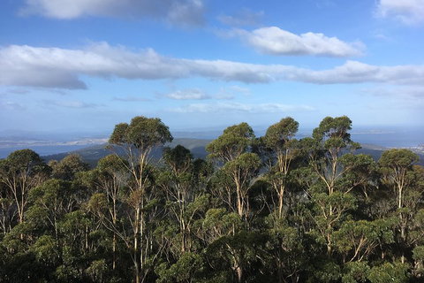 Kunanyi/Mt Wellington Explorer Bus - One Way Tour - Food Delivery Shop 5
