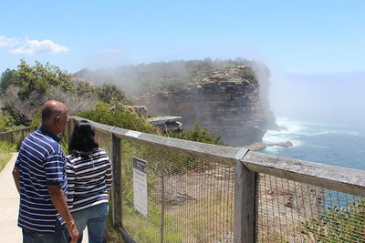 Sydney Shore Excursion Half-Day Sydney City Highlights with Bondi Beach and Watsons Bay