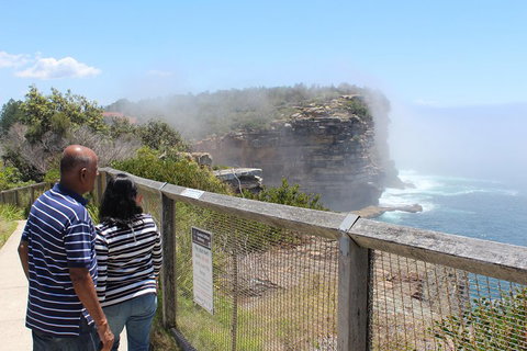 Sydney Shore Excursion: Half-Day Sydney City Highlights With Bondi Beach And Watsons Bay - Food Delivery Shop 0
