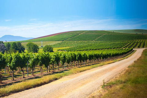 Full Day Tamar Valley Wine Tour - Food Delivery Shop 1