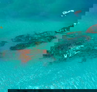 Private Tangalooma Wrecks Tour - Food Delivery Shop