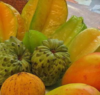 Private Half Day Tour Exclusive World Heritage Rainforest and Waterfall Tour from Cairns - Food Delivery Shop