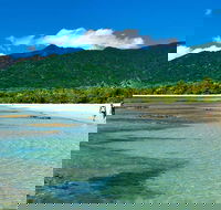 5-Day Best of Cairns with Daintree Kuranda and Great Barrier Reef - Pet Food Australia
