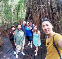 Cairns 4WD Waterfall and Rainforest Tour Including Kuranda Scenic Railway - Food Delivery Shop