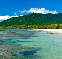 8-Day Cairns Tour Great Barrier Reef Kuranda Daintree Rainforest - Food Delivery Shop