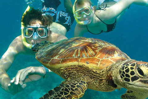 8-Day Cairns Tour: Great Barrier Reef, Kuranda, Daintree Rainforest - Food Delivery Shop 1