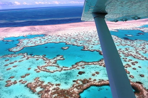 8-Day Cairns Tour: Great Barrier Reef, Kuranda, Daintree Rainforest - Food Delivery Shop 2