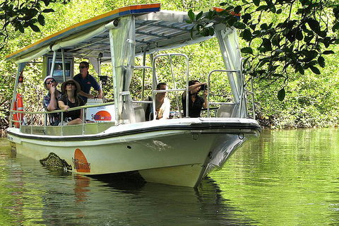 8-Day Cairns Tour: Great Barrier Reef, Kuranda, Daintree Rainforest - Food Delivery Shop 5