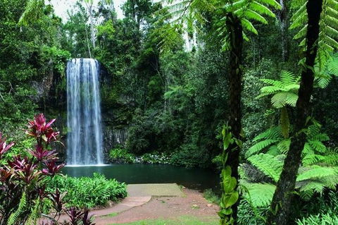 Paronella Park And Millaa Millaa Falls Full-day Tour From Cairns - Food Delivery Shop 3