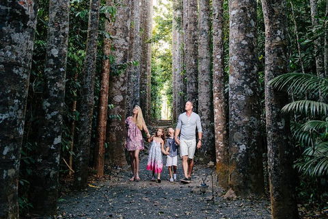 Paronella Park And Millaa Millaa Falls Full-day Tour From Cairns - Food Delivery Shop 5