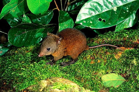 3-Day Small-Group Tour Of North Queensland With Pick Up - Food Delivery Shop 0