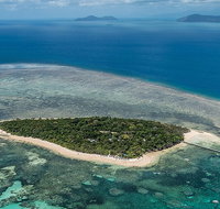 4-Day Cairns with Great Barrier Reef and Daintree Rainforest - Food Delivery Shop