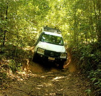 Cairns National Park Rainforest and Waterfall Small Group Tour Shore Excursion - Food Delivery Shop