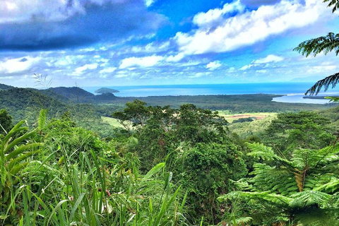 Private Daintree National Park Day Tour From Cairns Including Cape Tribulation And Mossman Gorge - Food Delivery Shop 2