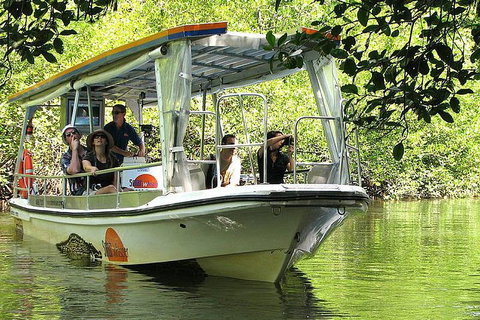 Private Daintree National Park Day Tour From Cairns Including Cape Tribulation And Mossman Gorge - Food Delivery Shop 5