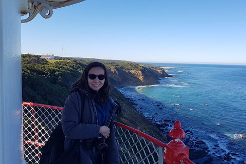 Great Ocean Road Full Day Private Experience - Pet Food Australia 1