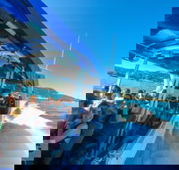 Whitehaven Beach Day Tour with Snorkel in Whitsundays Island - Pet Food Australia