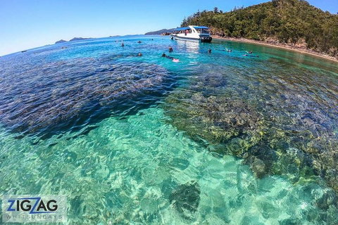 Whitehaven Beach Day Tour With Snorkel In Whitsundays Island - Food Delivery Shop 5