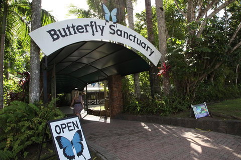 Kuranda Day Trip From Port Douglas Upgrade To Skyrail & Scenic Train Available - Food Delivery Shop 0