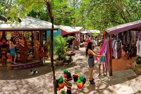 Kuranda Day Trip From Port Douglas Upgrade To Skyrail & Scenic Train Available - Food Delivery Shop 2