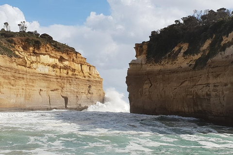 12 Apostles Tour From Warrnambool - Food Delivery Shop 2