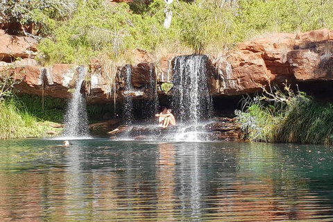 9 Day Perth To Broome Adventure - Food Delivery Shop 2