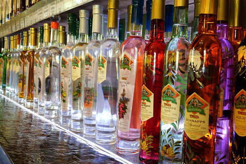 Bar & Brewery Tour - Pet Food Australia 4