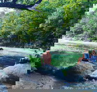 Afternoon Half-Day Daintree Rainforest and River Tour - Food Delivery Shop