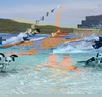 Pippies 3 Days 2 Nights Fraser Island Tour - Pet Food Australia