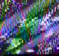 Infinity Attraction - Admission - Pet Food Australia