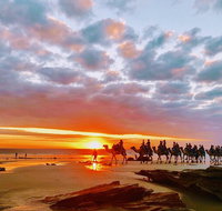 1 Hour Broome Sunset Camel Tour - Food Delivery Shop